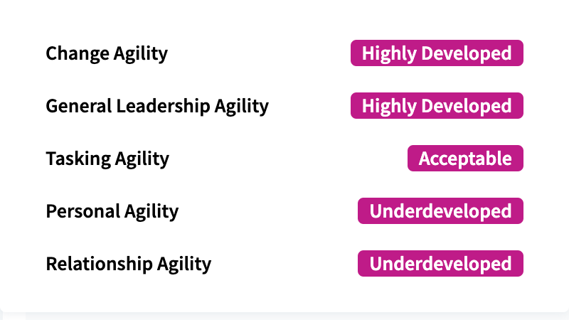 leader-agility